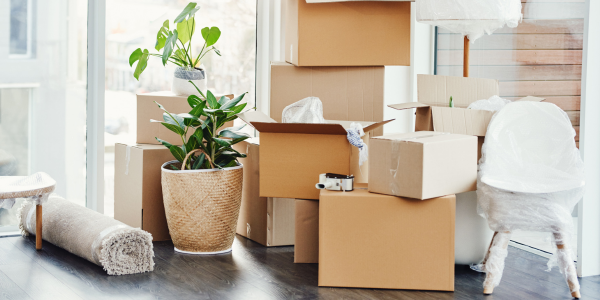 Comprehensive Moving Solutions