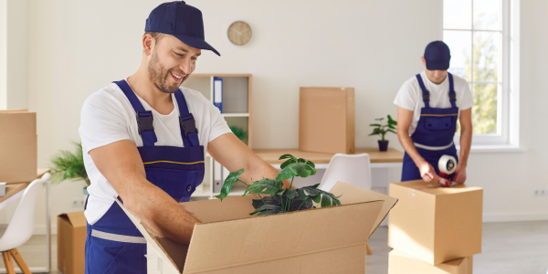 Professional Packing Services